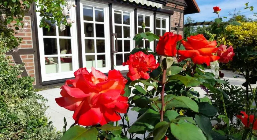 Ferienhaus Gartower See - Image 1