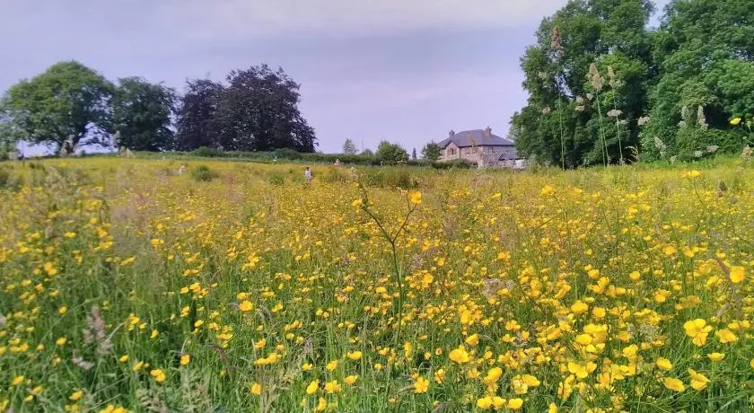 Castletownmoor Clinic & Permaculture Farm - Image 1