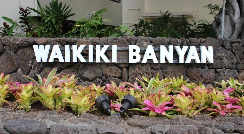 PonoAloha - Image 1