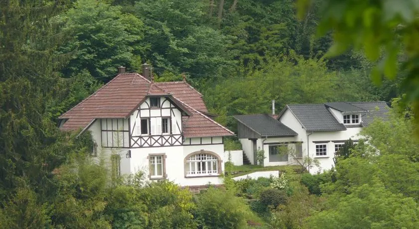 LA VILLA DES OISEAUX - La Petite Pierre - Image 1