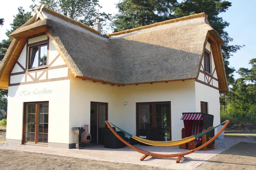 Ferienhaus Lotusblume in Zirchow - Image 1