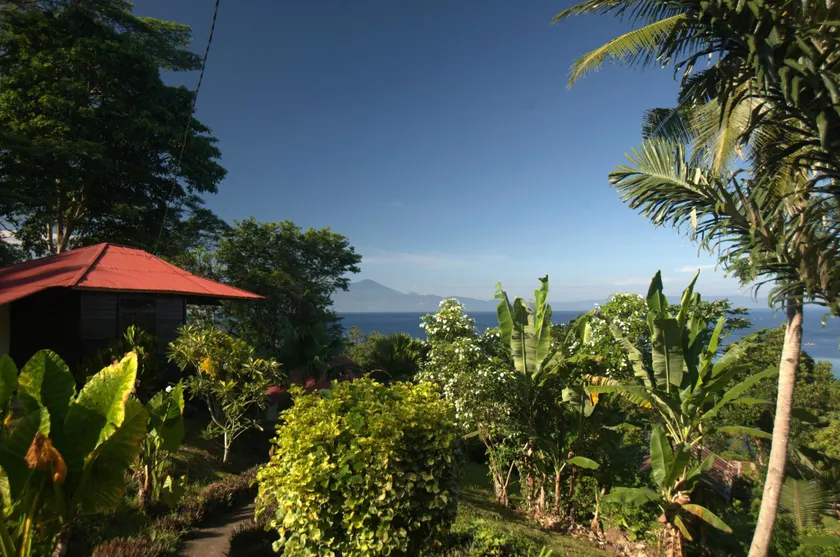 Happy Gecko Dive Resort - Image 1