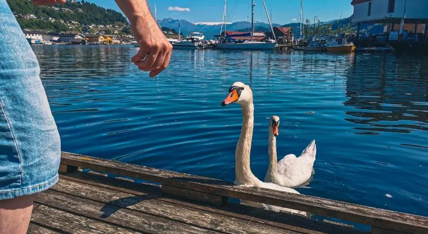 Nortorp, stort hus med egen brygge i sentrum - Image 1
