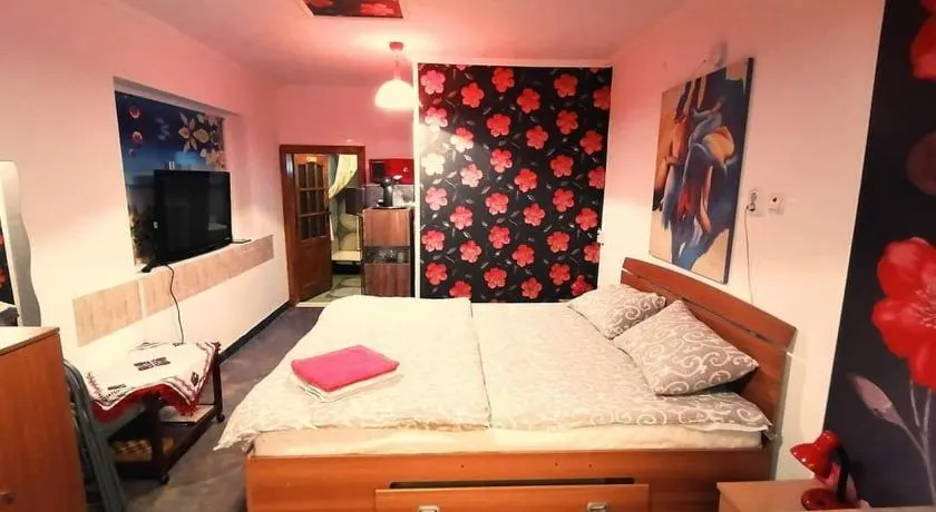 Hostel Pascalis Alesd - Image 1