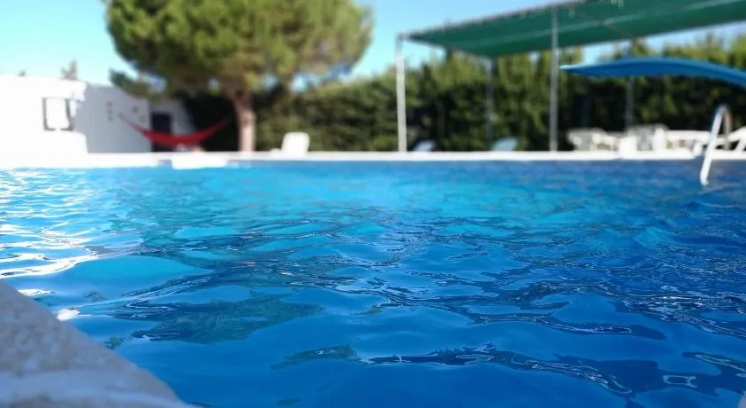 SOLECITO - Image 1
