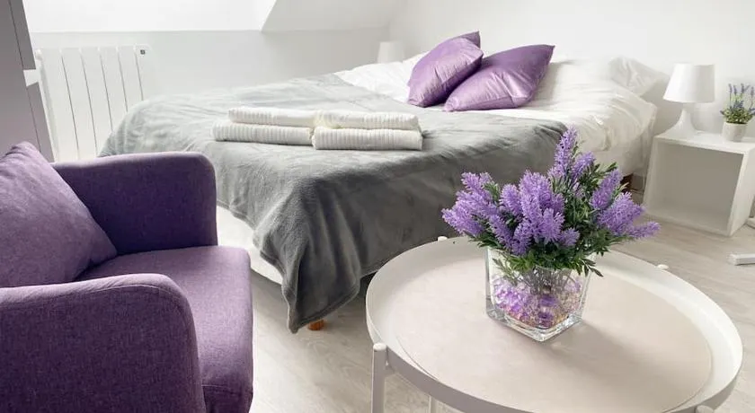 Esprit Violet - Joli Studio Salengro - Sauna & Sport club - Image 1