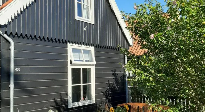 B & B Tulp Amsterdam Noord - Image 1