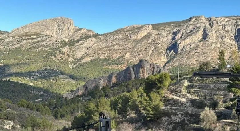 El Olivo - Image 1