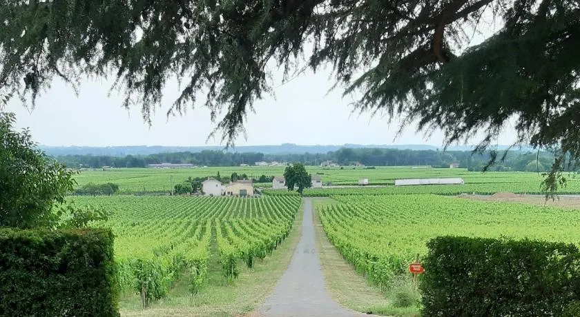 A L'OMBRE DE LA TREILLE -Proche Saint-Emilion - Image 1