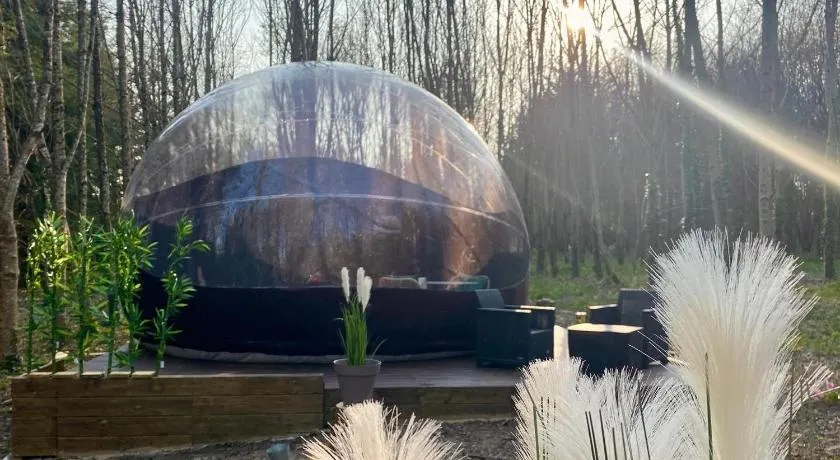Logement insolite "Bubble jungle" - Image 1