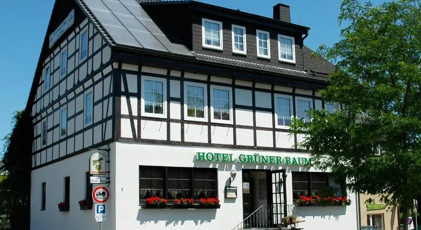 Hotel Grüner Baum - Image 1
