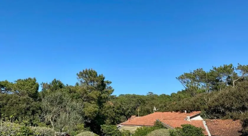 Bourdaines - Villa entre océan et forêt - Image 1