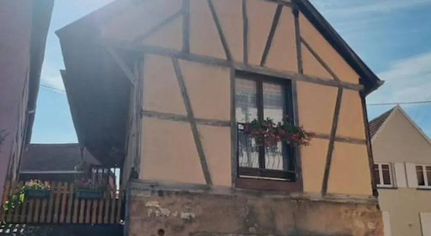 Maison Alsacienne au cœur du vignoble - Image 1