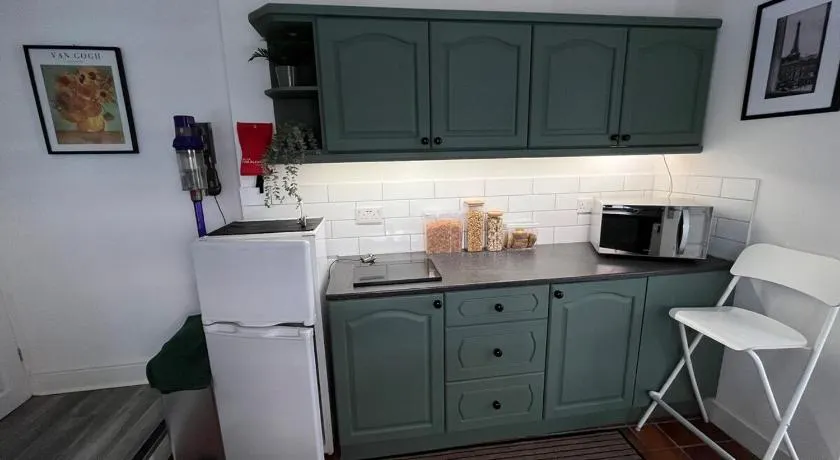 Well-equipped studio apartment - Image 1