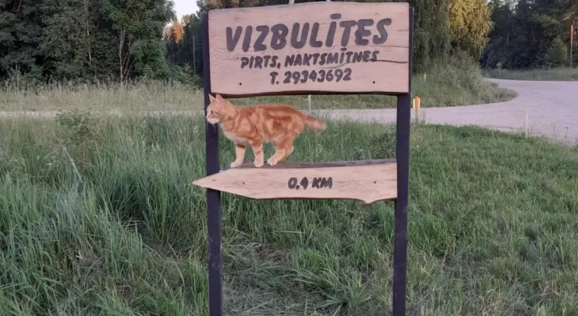 Viesu nams Vizbulītes - Image 1