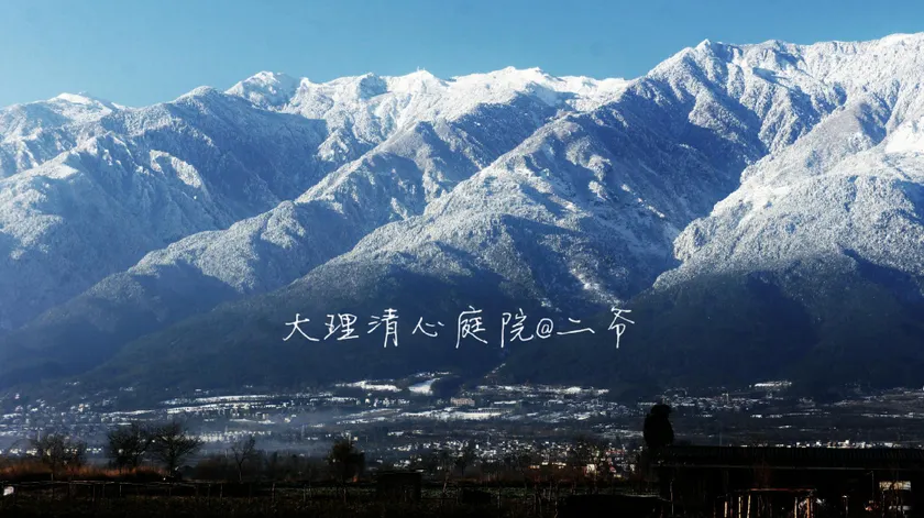 Qingxin Courtyard Art Guesthouse - Image 1