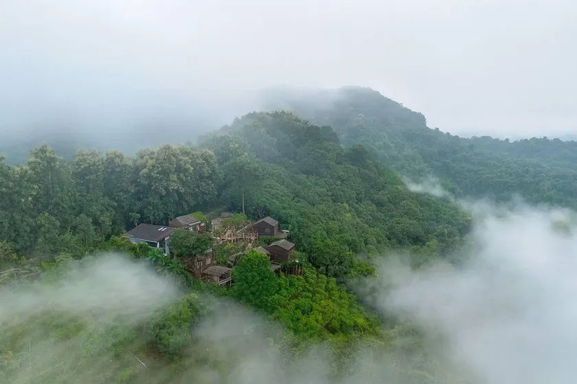 4000Dao- A Hilltop Hideaway & Experience in Doi Tung - Image 1