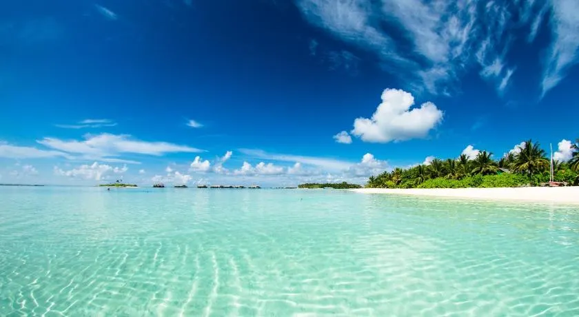 Absolute Beachfront Villas - Image 1