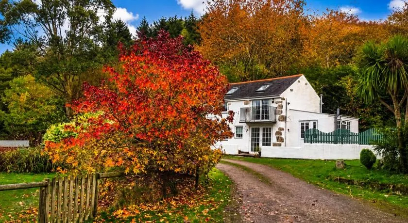 Holiday Cottage Falmouth - Image 1