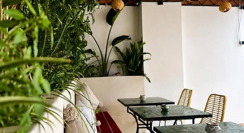 Riad Tizgui - Image 1