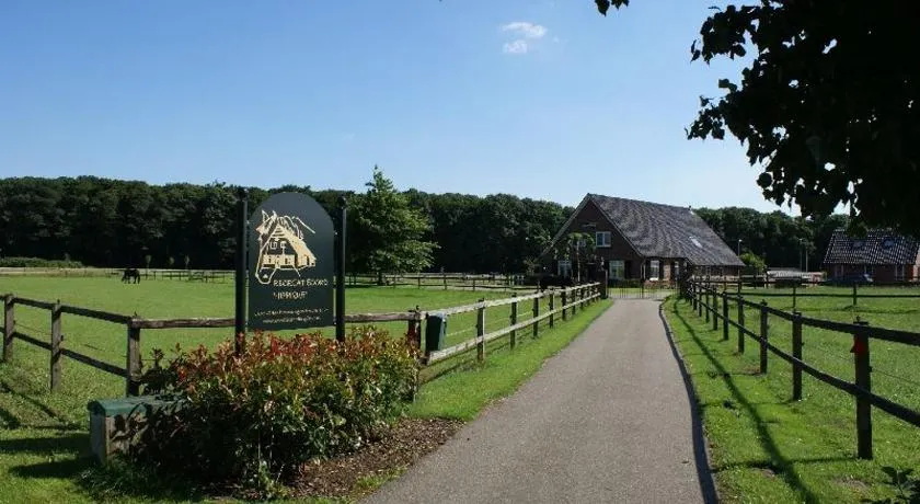 Recreatieoord Hippique - Image 1