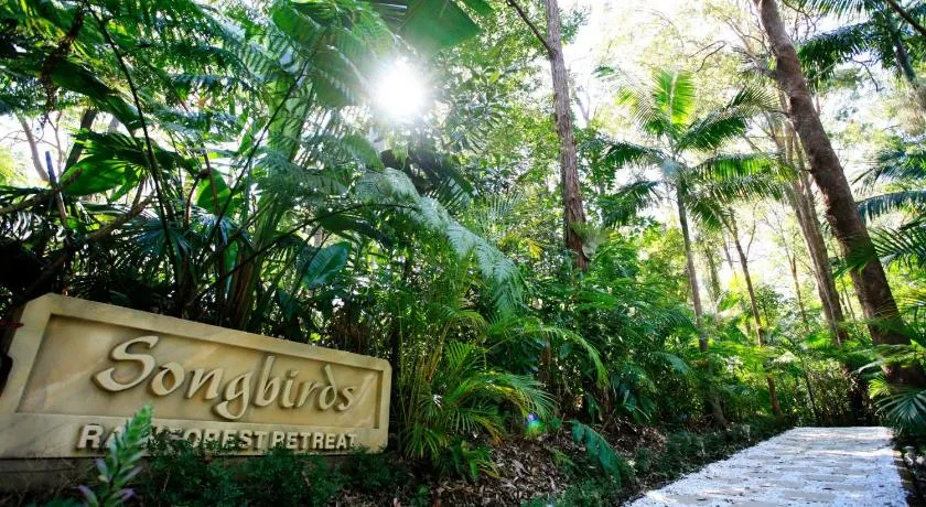 Songbirds Rainforest Retreat - Image 1