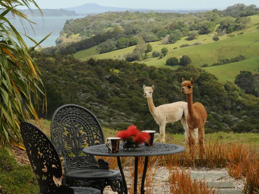 Mahurangi West Wing - Luxury Bed and Breakfast - Image 1