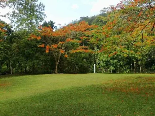Lakma Holiday Resort & Spa - Image 1