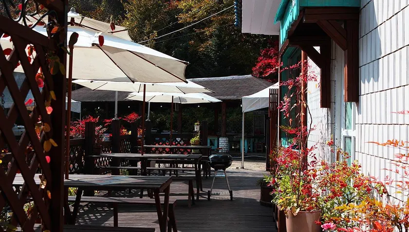 Baekamsanjang Pension Pet Friendly - Image 1