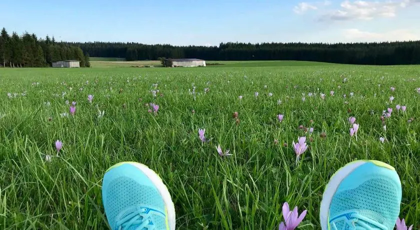 Gästehaus Rössle großzügiges Wohnen bis zu 90 m2 - Image 1