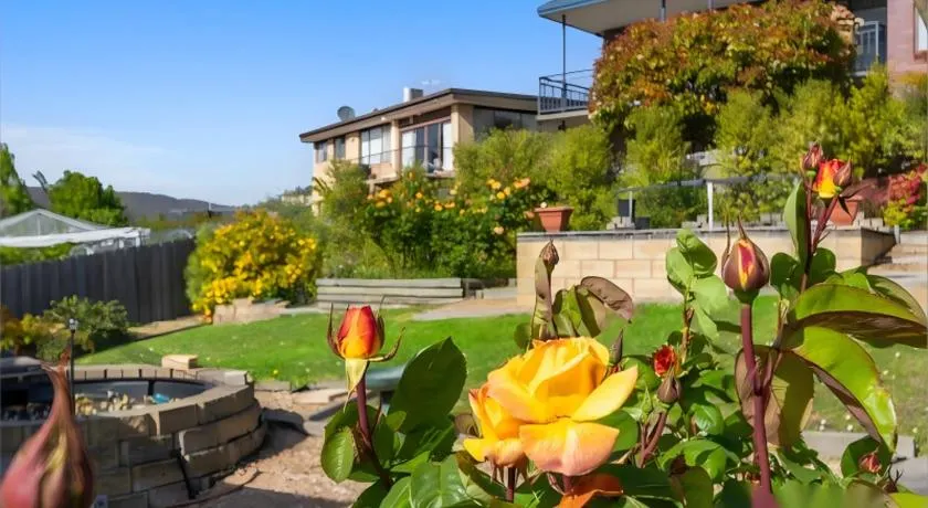 Sunny garden house - Image 1
