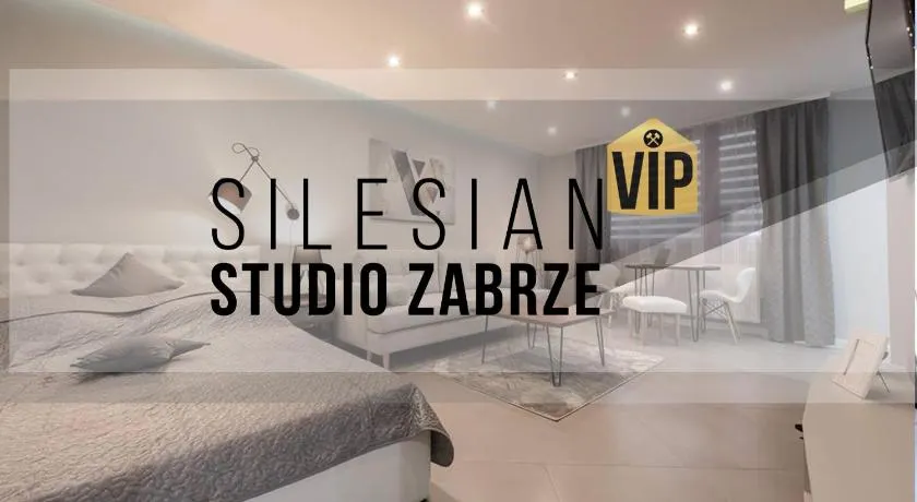 Studio Silesian Vip - Image 1