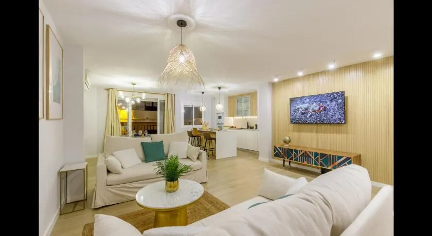 Picasso 2 Luxury - Image 1