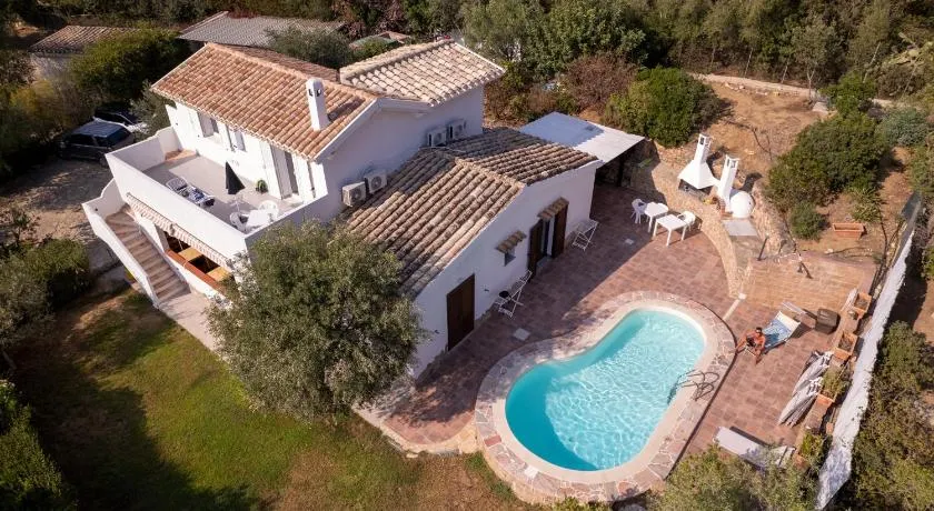 Almà - Image 1