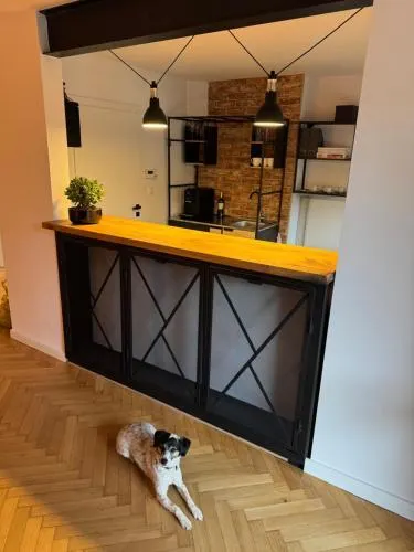 Apartamenty Studio - Image 1