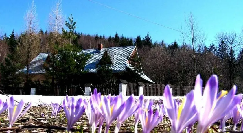 Góralska Czarcia Chata pod Jałowcem - Image 1