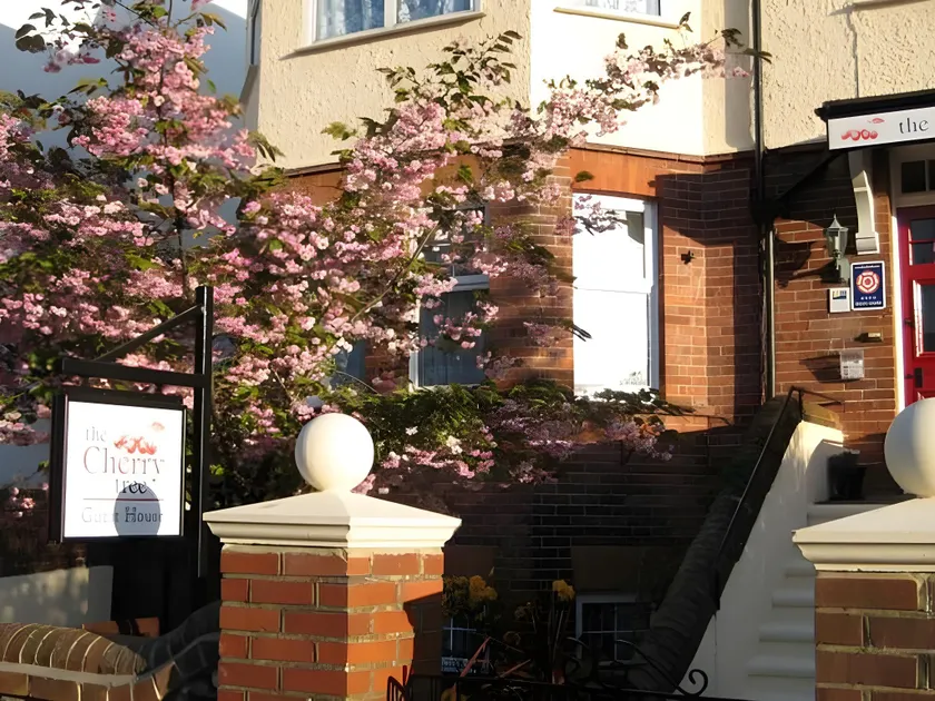 The Cherry Tree B&B - Image 1