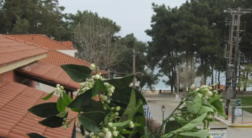 Mandola Del Mare - Image 1
