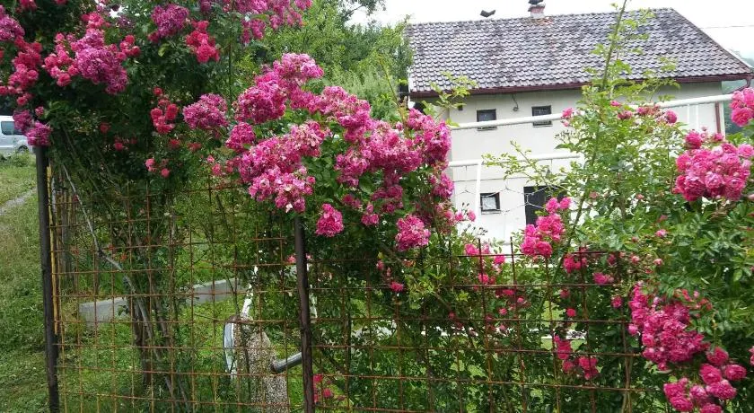 Vikend kuća Careva Ćuprija-apartman - Image 1