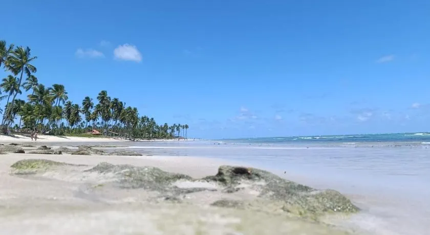 Carneiros Beach Resort - Pé na areia! - Image 1