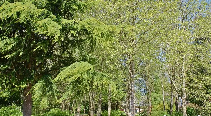 Bellissimo gîte con terrazza, griglia e giardino - Image 1