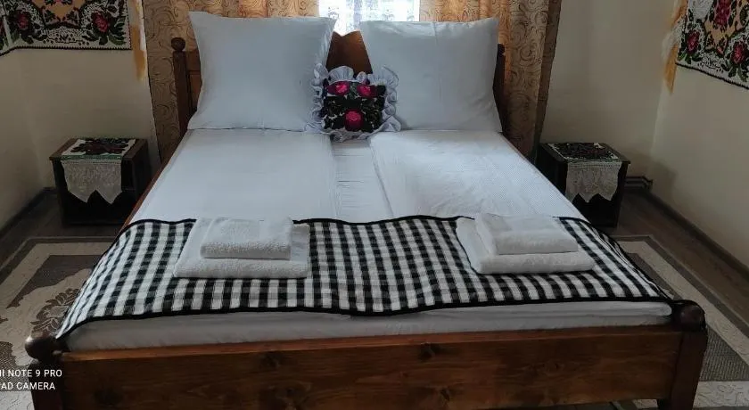 La Lenuța În Susani - Image 1