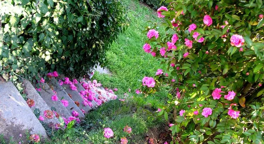 Guest house Cascina Belsito - Image 1