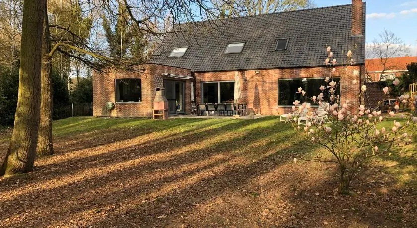 Hammo - Image 1
