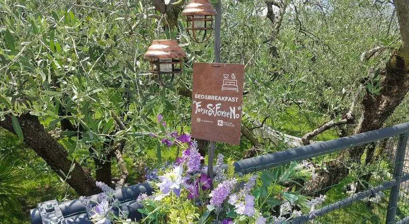 B&B ForseSiForseNo - Image 1