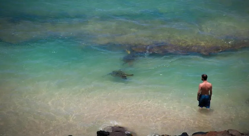 Yonegan Central Maui Getaways - Image 1