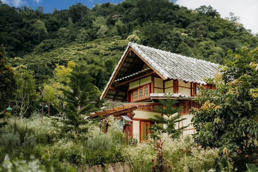 Mori Natural Farm - Image 1