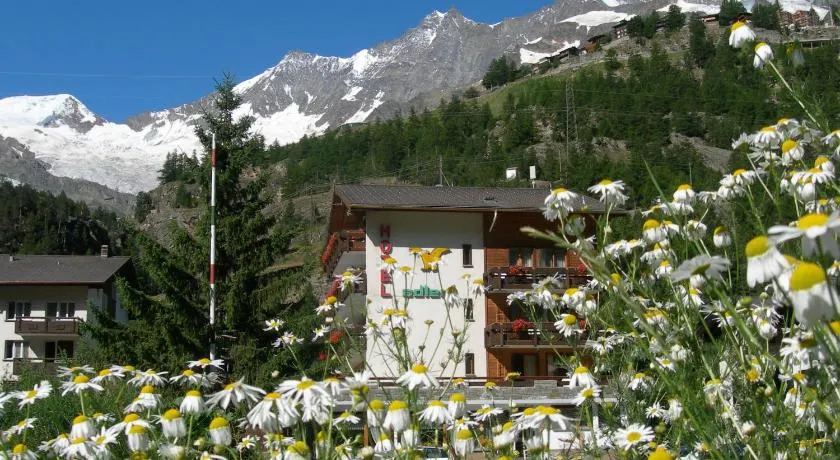 Hotel Adler - Image 1