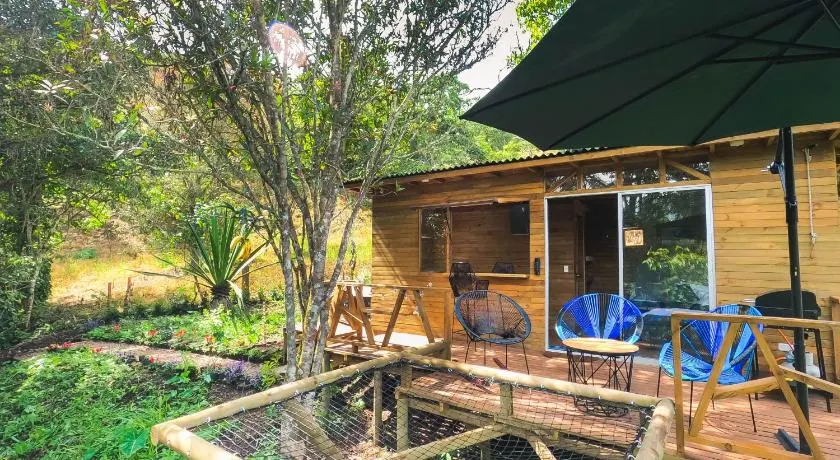 Glampbird-Tangara Real - Image 1