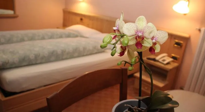 Albergo Caravasc - Image 1